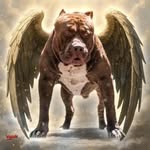 Kris Shafer - @lovnlife4u - Instagram