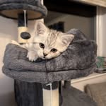 Kris_W - @kris_silverw - Instagram