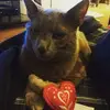 Kris Simmons181 - @ksimz247 - TikTok