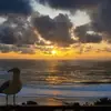 Krissy - @krissimmons767 - TikTok