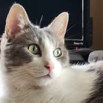 Kris Simpson - @krissimpson9784 - Instagram
