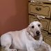 Chris Sparling - Facebook