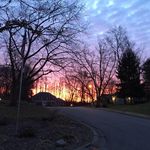 Kris Springer - @krisespringer - Instagram