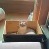 kristinaspringer7476 - @kristinaspringer7476 - TikTok