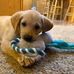 Kris Stanton - Facebook