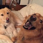 Kris Stanton - @stantonka44 - Instagram