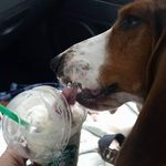 Kris Stegall - @erlifesaver911 - Instagram