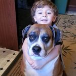 Kristi Stegall - @krististegall32211 - Instagram