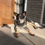 Kris Stevens - @kriss_reserve_0416 - Instagram