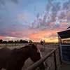 Kris Stewart - @krisstewart02 - TikTok