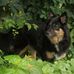 Kris Swanson - Facebook