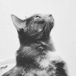 Kris Swenson - @krisswenson74 - Instagram