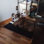 Kris Swenson Quam - @krisquam1 - Instagram