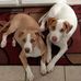 Kristine Swift - Facebook