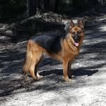 Kris Talbot - @kristalk999 - Instagram