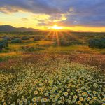 kris_talbott7 - @kris_talbott7 - Instagram