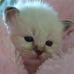 Kris Timm - Facebook