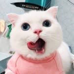 Kris Vaille - @kris_vaille - Instagram