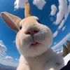 KRIS🐰VALENCIA🐰🐰🐇 - @tu.principe68 - TikTok