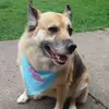 krisvernon - @krisvernon - TikTok