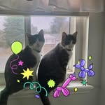 Kris Walters - @walterskris - Instagram