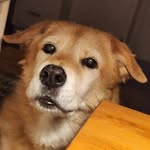 Kris Walters - @keawalters - Instagram