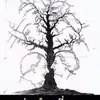 kristy_webster3 - @kristy_webster3 - TikTok