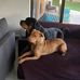 Kris Weir - Facebook