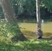 Chris Wiseman - Facebook