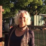 Kris Wiseman - @southcoast2515 - Instagram