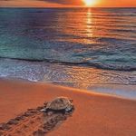 Kris Wiseman - @krista.wiseman.3 - Instagram