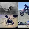 kriswolfe5 - @kriswolfe5 - TikTok