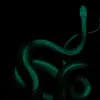 Krishal Acharya - @krishal.acharya - TikTok