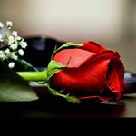 krishan_grover_ - @krishan_grover_ - Instagram