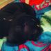 Krishaun Marshall - Facebook