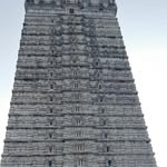 Krishna Potluri - @iamkrishnapotluri - Instagram