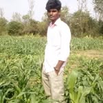 Potluri Krishna - @potlurikrishna741 - Instagram