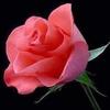 Krishna prakash - @user482007177 - TikTok