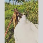 Krishna Sriram - @monish_yadav_tn37 - Instagram