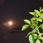 Krishna - @krishna_viswanathan - Instagram