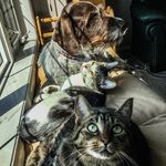 Krissie Walker - @battie737 - Instagram