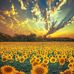 Krissie Freedman - Facebook