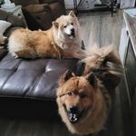 Krissy Green - @nakoma_n_koda618 - Instagram