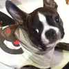 krissyrogers1959 - @krissyrogers1959 - TikTok