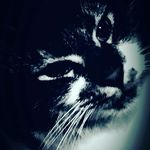 krissysanders - @krissysander - Instagram