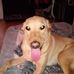 Krista Ashley - Facebook