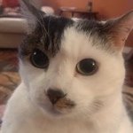 Krista Best - @krista.best - Instagram