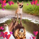 Krista Best - @kristabest7091 - Instagram