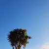 Kristy Bright - @cutekoala.123 - TikTok