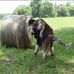 Christa Bryson - Facebook